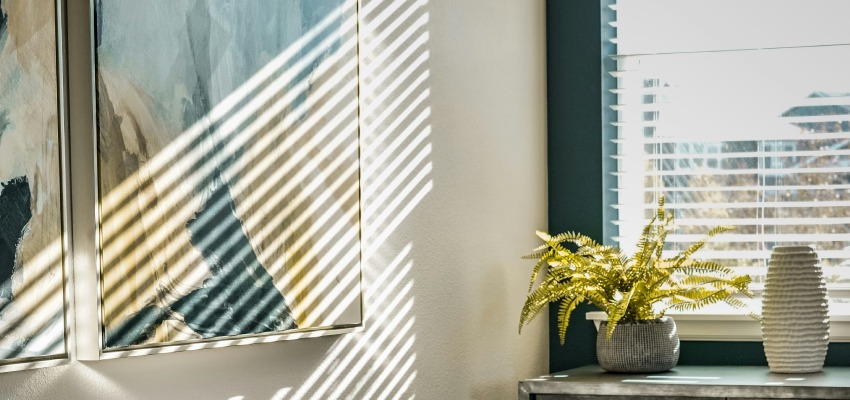 Schilderij in aluminium wissellijst verlicht door zonlicht, naast een stijlvolle plant in een moderne woonkamer